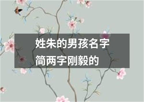 姓朱的男孩名字简两字刚毅的