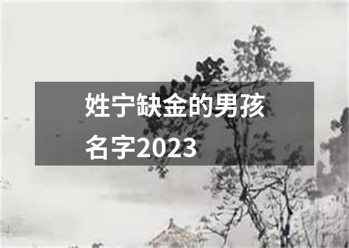 姓宁缺金的男孩名字2023