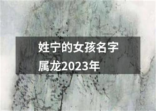 姓宁的女孩名字属龙2023年