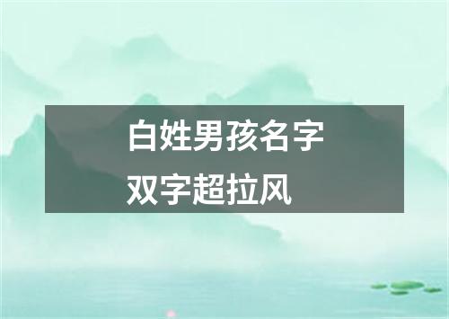 白姓男孩名字双字超拉风