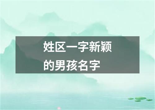 姓区一字新颖的男孩名字