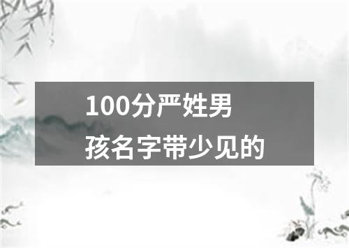 100分严姓男孩名字带少见的