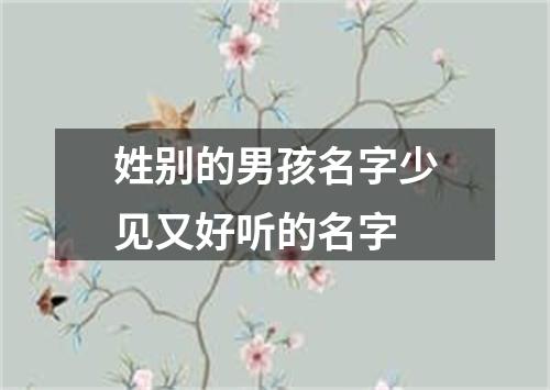 姓别的男孩名字少见又好听的名字