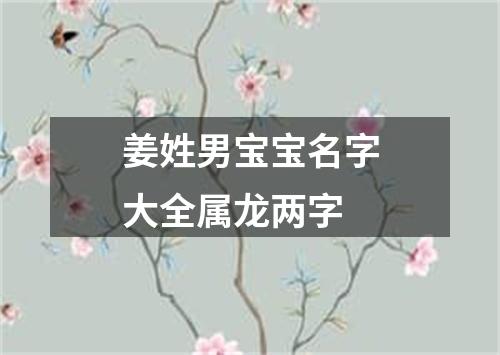 姜姓男宝宝名字大全属龙两字