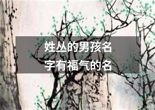 姓丛的男孩名字有福气的名