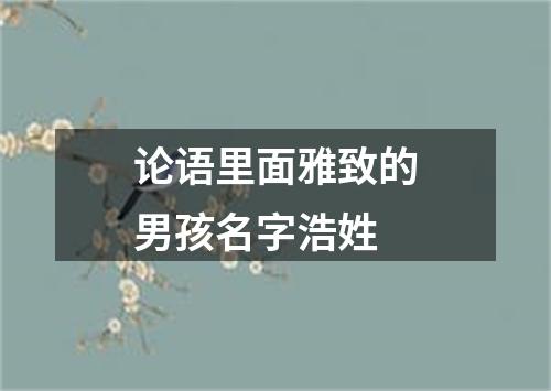 论语里面雅致的男孩名字浩姓