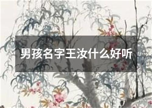 男孩名字王汝什么好听