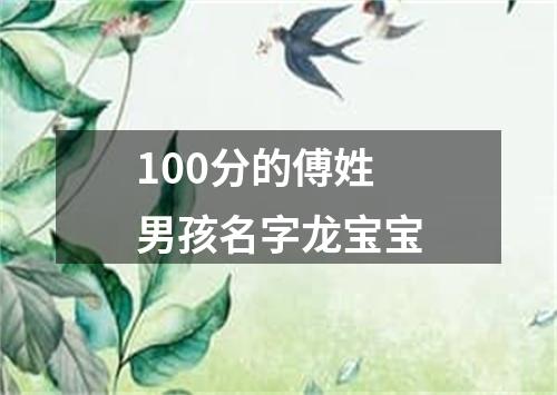 100分的傅姓男孩名字龙宝宝