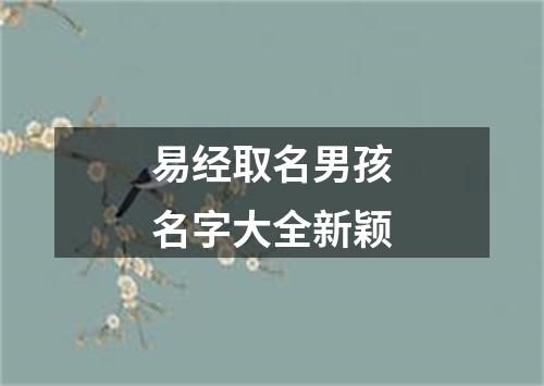 易经取名男孩名字大全新颖