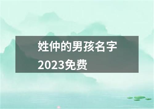 姓仲的男孩名字2023免费