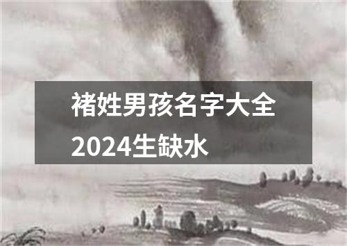 褚姓男孩名字大全2024生缺水