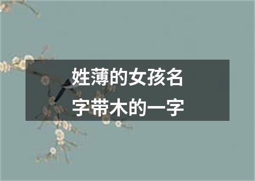 姓薄的女孩名字带木的一字