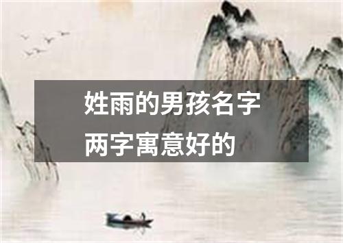 姓雨的男孩名字两字寓意好的
