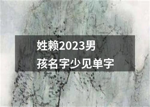 姓赖2023男孩名字少见单字