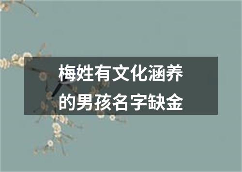 梅姓有文化涵养的男孩名字缺金