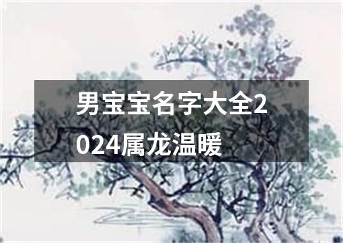 男宝宝名字大全2024属龙温暖
