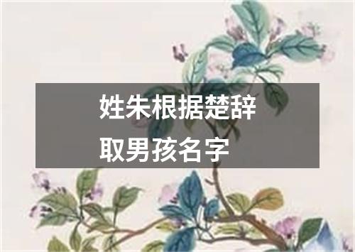 姓朱根据楚辞取男孩名字