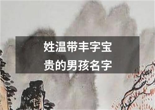 姓温带丰字宝贵的男孩名字