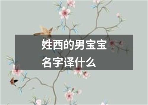 姓西的男宝宝名字译什么