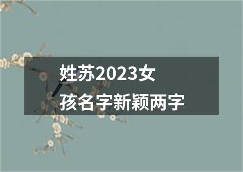 姓苏2023女孩名字新颖两字