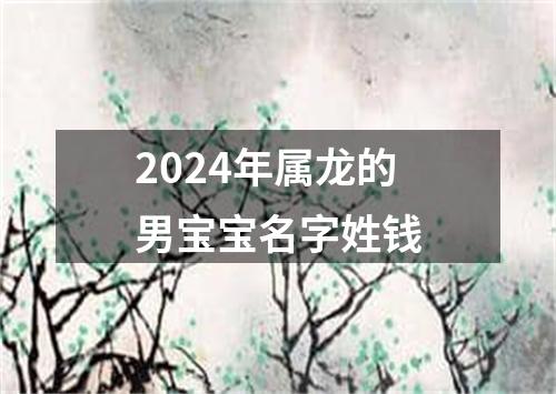 2024年属龙的男宝宝名字姓钱