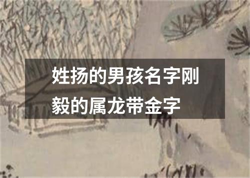 姓扬的男孩名字刚毅的属龙带金字