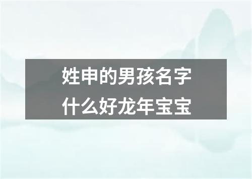 姓申的男孩名字什么好龙年宝宝