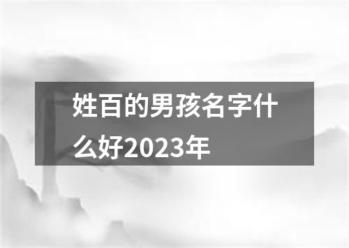 姓百的男孩名字什么好2023年