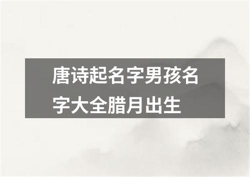 唐诗起名字男孩名字大全腊月出生