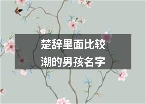 楚辞里面比较潮的男孩名字