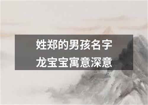 姓郑的男孩名字龙宝宝寓意深意