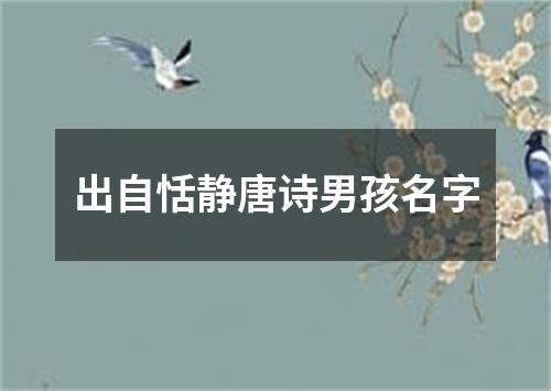 出自恬静唐诗男孩名字