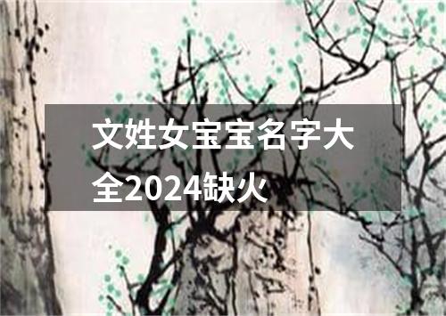 文姓女宝宝名字大全2024缺火