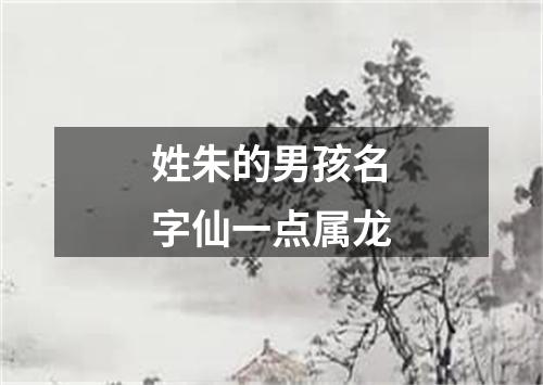 姓朱的男孩名字仙一点属龙