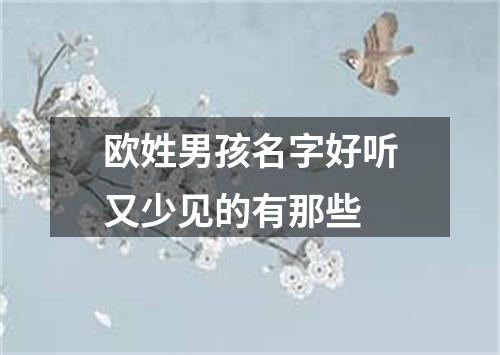 欧姓男孩名字好听又少见的有那些
