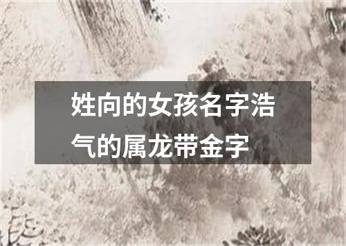 姓向的女孩名字浩气的属龙带金字