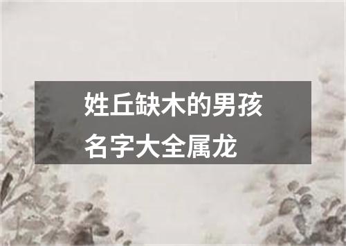 姓丘缺木的男孩名字大全属龙