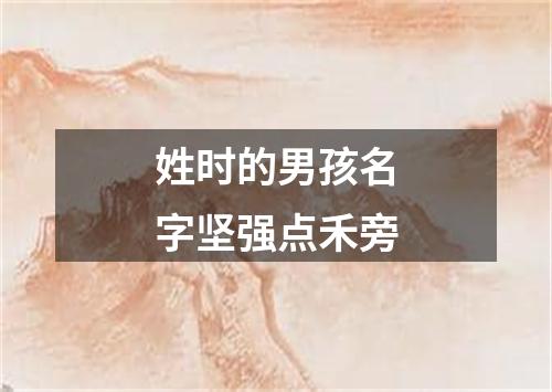 姓时的男孩名字坚强点禾旁