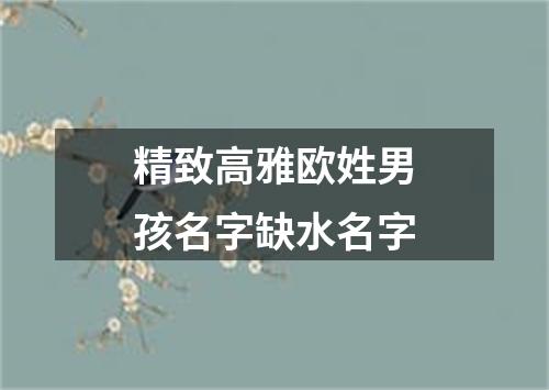 精致高雅欧姓男孩名字缺水名字