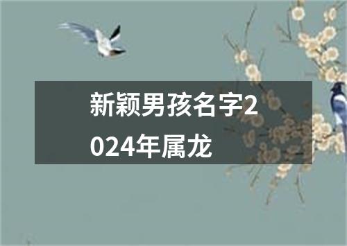 新颖男孩名字2024年属龙