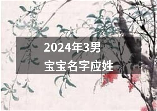 2024年3男宝宝名字应姓