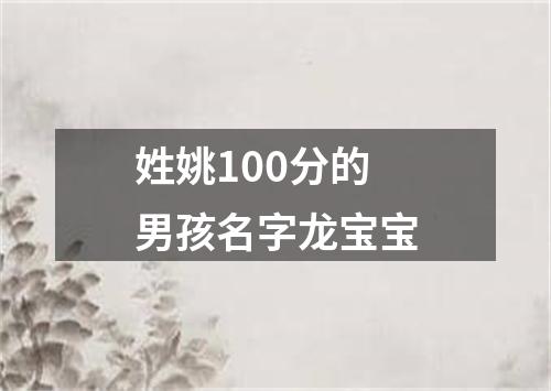 姓姚100分的男孩名字龙宝宝