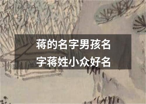 蒋的名字男孩名字蒋姓小众好名