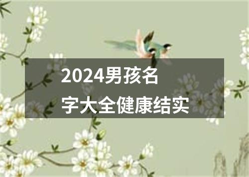 2024男孩名字大全健康结实