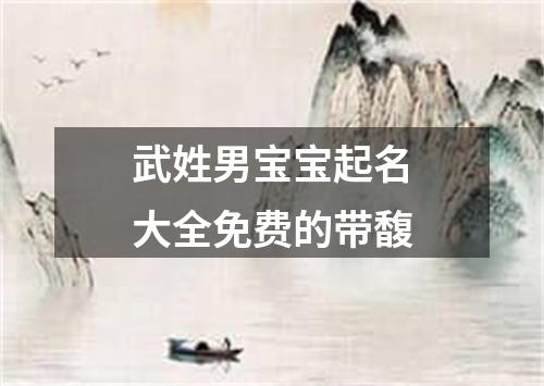武姓男宝宝起名大全免费的带馥