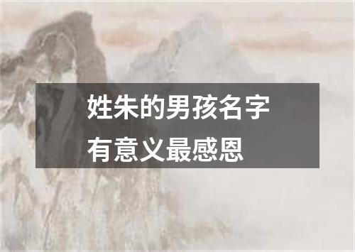 姓朱的男孩名字有意义最感恩