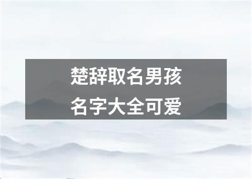 楚辞取名男孩名字大全可爱