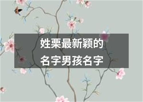 姓栗最新颖的名字男孩名字