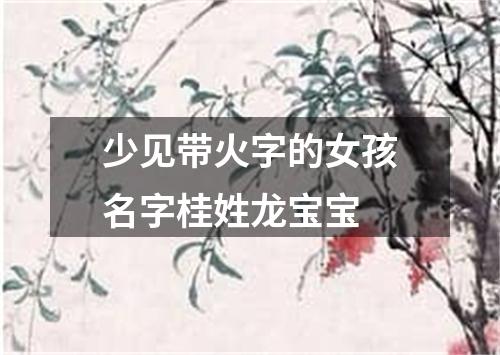 少见带火字的女孩名字桂姓龙宝宝