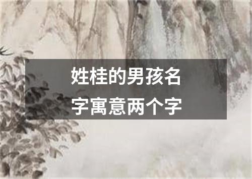 姓桂的男孩名字寓意两个字
